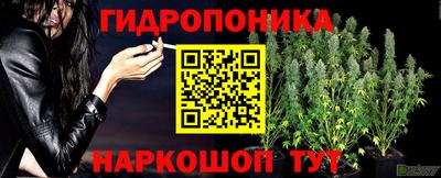кокс Можайск