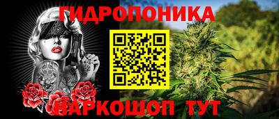 СК Можга